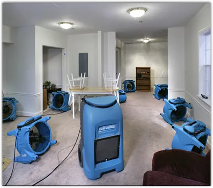 Drying & Dehumidification in West Vero Corridor, FL