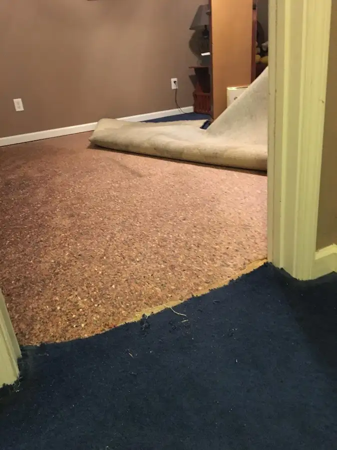 Carpet pad removal revealing water damage during Drying & Dehumidification in West Vero Corridor